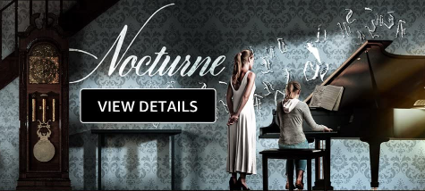 “Nocturne” Review
