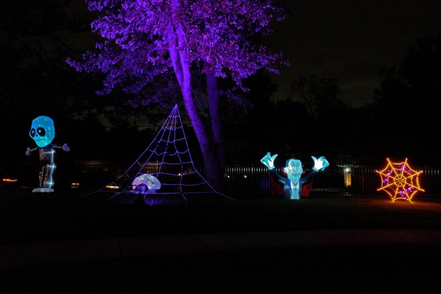 Naperville home is intricately lit up, bringing much attention from those who pass by. 