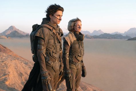 Timothée Chalamet and Rebecca Ferguson demonstrate the fullest of their talents in Denis Villeneuves recent sci-fi epic Dune.