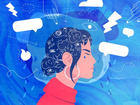 One out of every five South Asians in the United States have reported some type of mood disorder in their lifetime, and most often those reported are South Asian women.