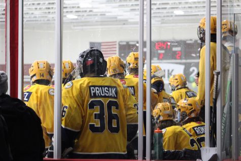 Neuqua hockey players cheer on their teammates. 