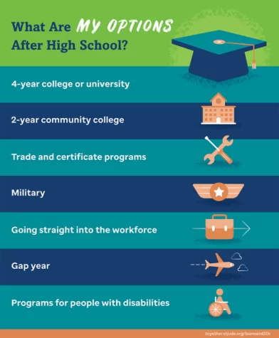 These are a few options that students do after completing high school. 