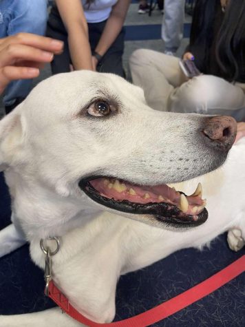 Holly smiles at students as they come to visit her