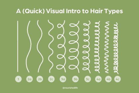 Curly girl method hair type chart