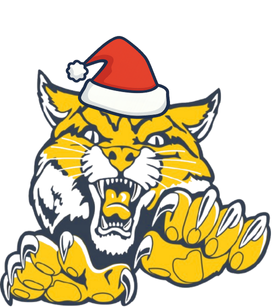 Student council & spirit at Neuqua Valley